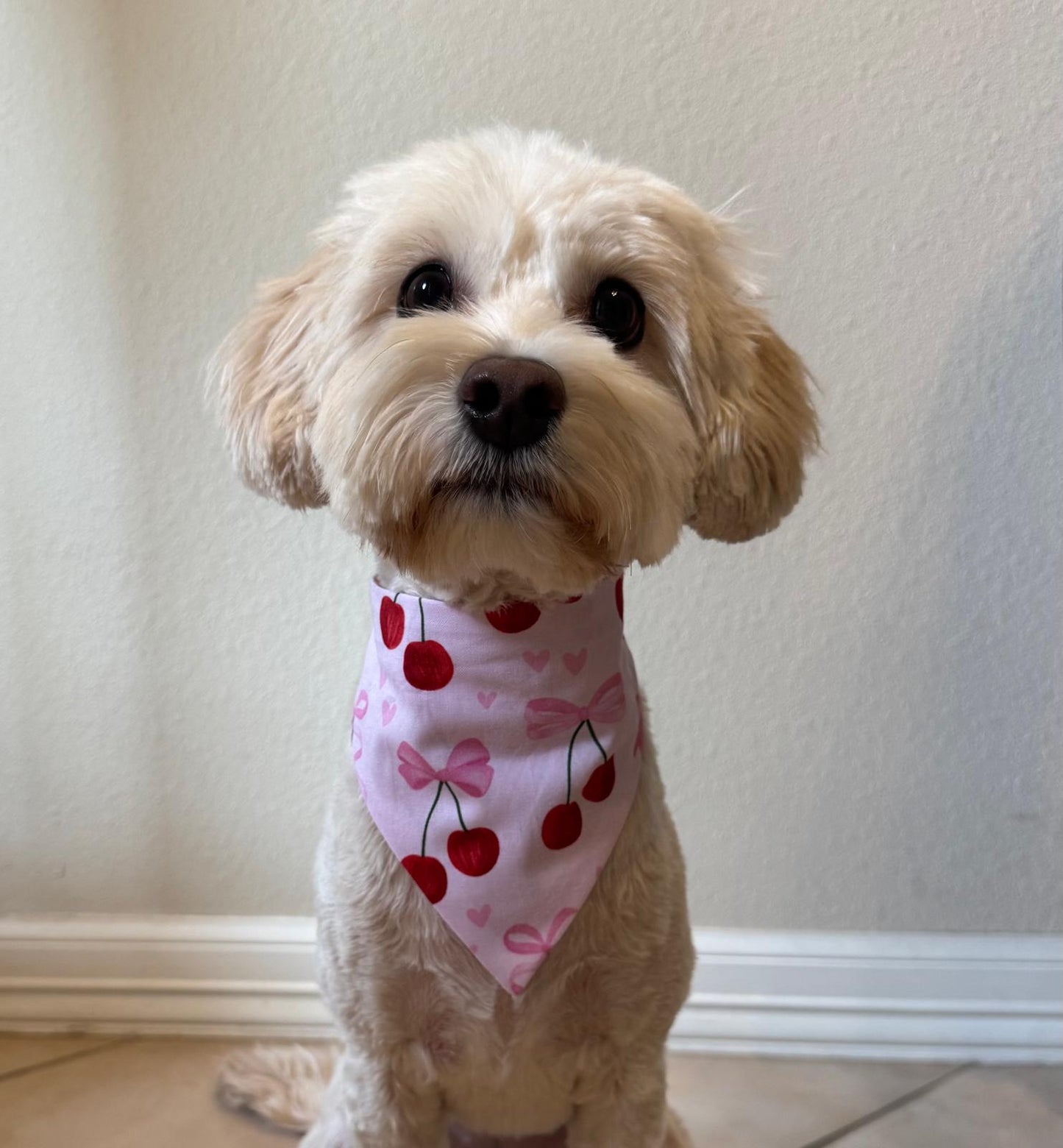Handmade Dog Scrunchie Scarfs
