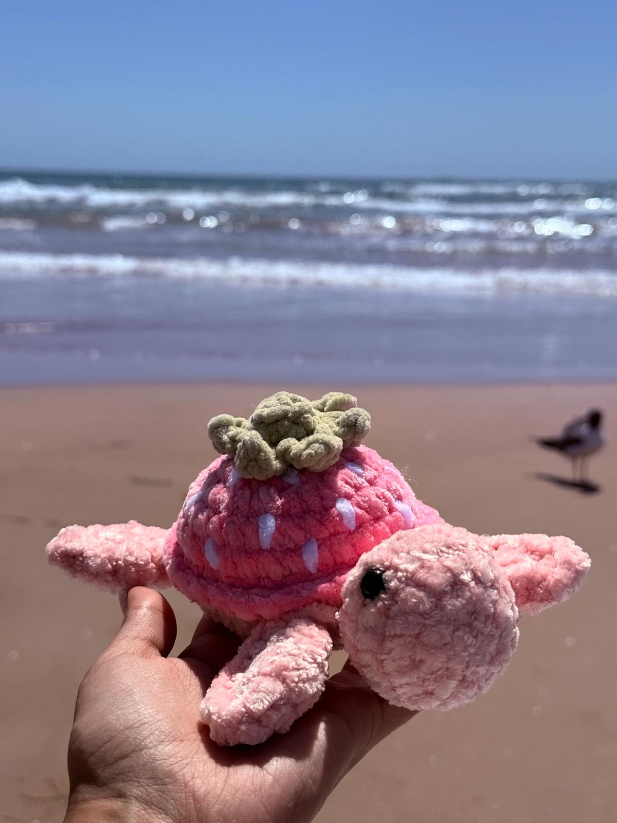 Fruit Sea Turtles