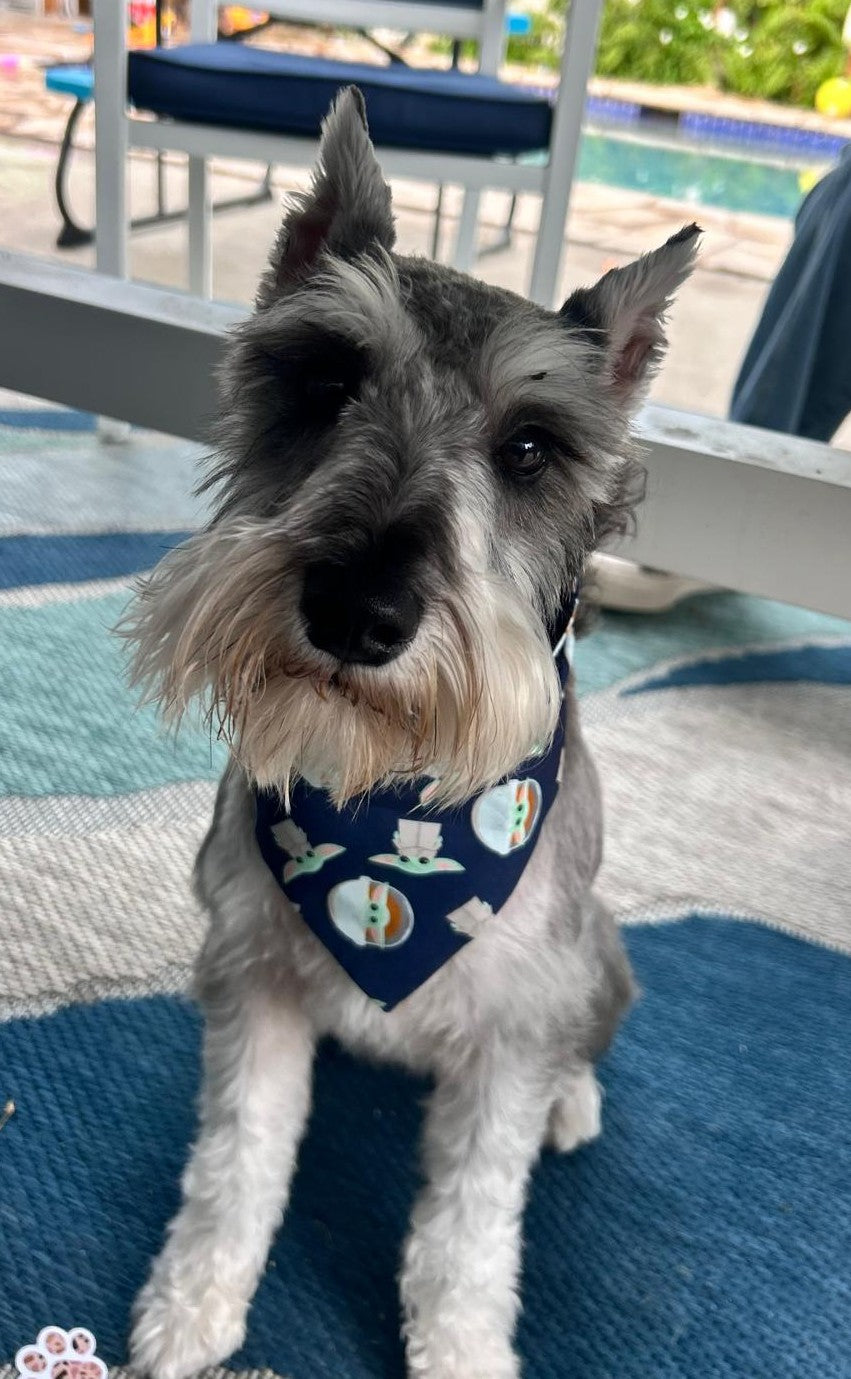 Handmade Dog Scrunchie Scarfs